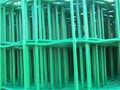 養(yǎng)殖荷蘭網(wǎng)??